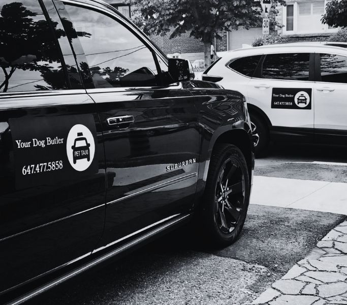 Your Dog Butler pet transport SUV taxis