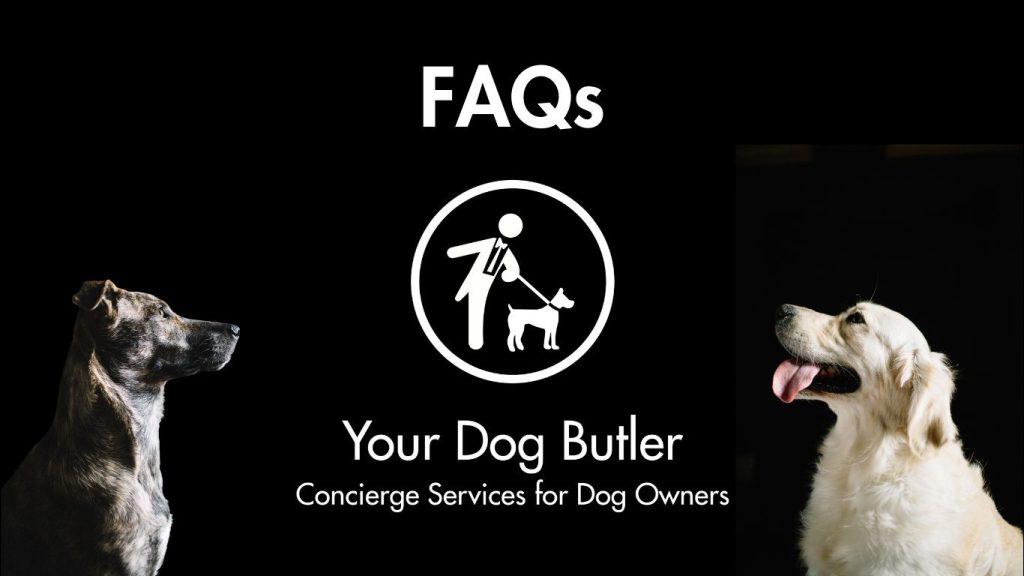 faqs banner