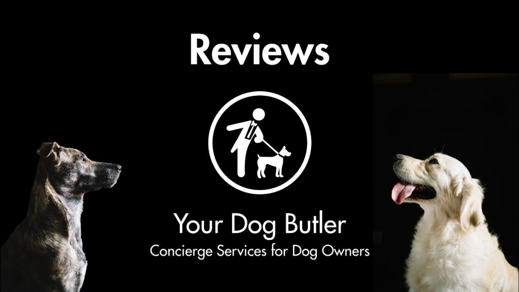 your dog butler review banner
