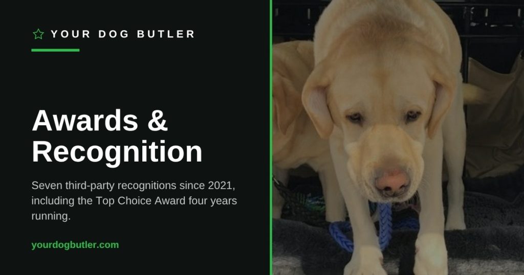 Your Dog Butler awards and recognition — two Labradors riding in a Your Dog Butler pet taxi vehicle, alongside seven third-party recognitions since 2021 including four consecutive Top Choice Awards